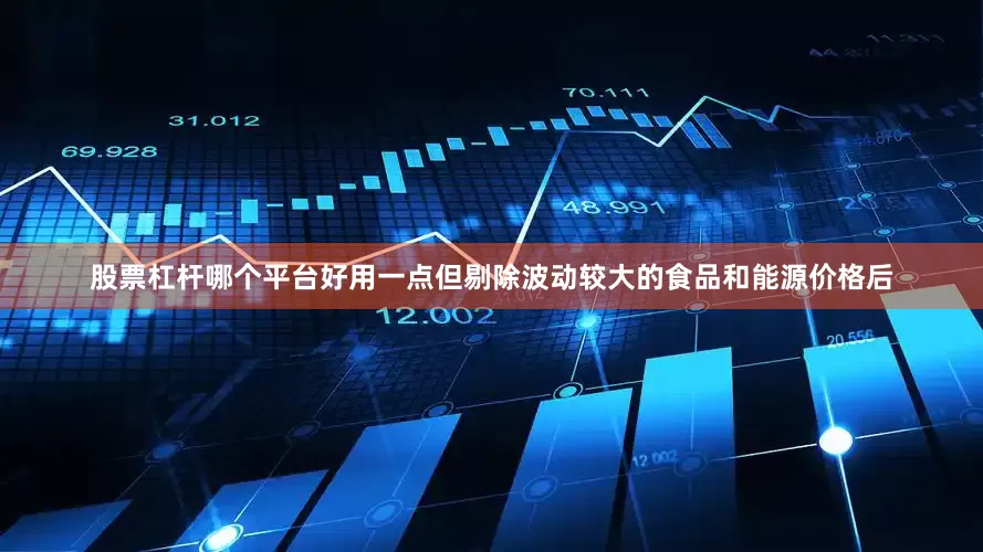 股票杠杆哪个平台好用一点但剔除波动较大的食品和能源价格后