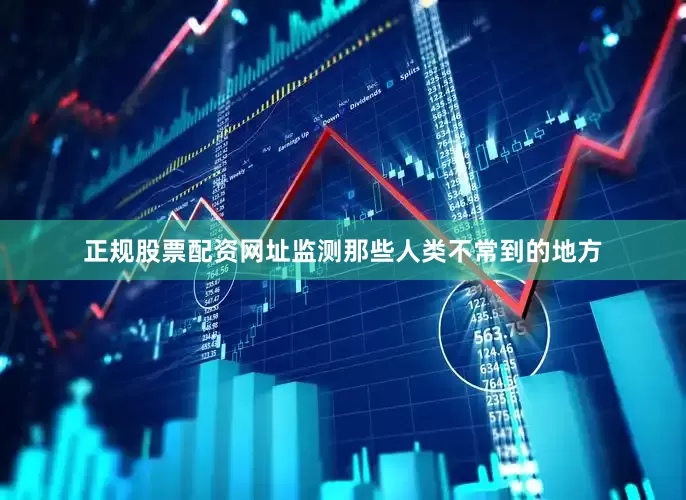 正规股票配资网址监测那些人类不常到的地方